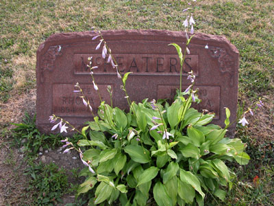 Rhoda F. & Wilbur A. McFeaters