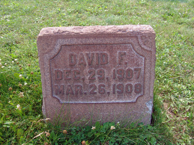 David F. Bole