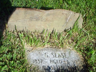 G. Sease